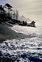 Misty Shoreline, Rialto Beach